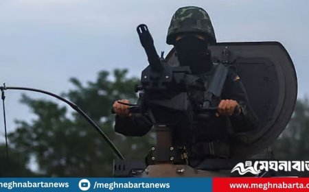 কম্বোডিয়া ‘অবিলম্বে যুদ্ধবিরতি’ চায়, থাইল্যান্ড কী বলছে