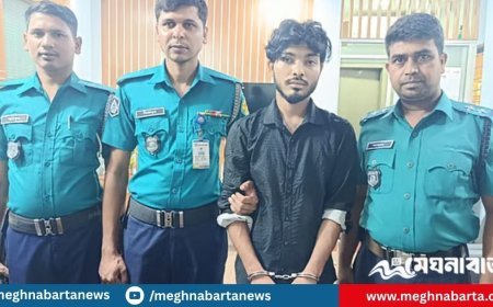 রাজধানীর রামপুরায় ঠিকাদারের কাছ থেকে ছিনিয়ে নেওয়া পিস্তল ও গুলিসহ যুবক গ্রেপ্তার
