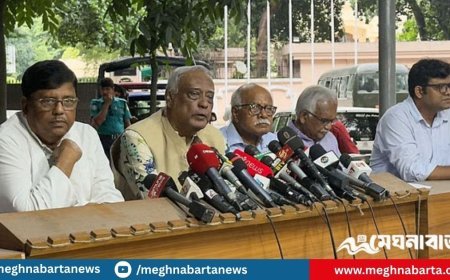 চার-পাঁচ দিনের মধ্যে নির্বাচনের তারিখ ঘোষণা করবেন প্রধান উপদেষ্টা: মোস্তফা জামাল