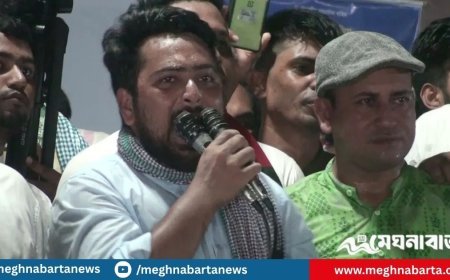 নতুন সরকার পেলেও নতুন দেশ এখনো পাইনি : নাহিদ ইসলাম