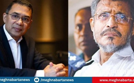 তারেক-বাবরের খালাসের বিরুদ্ধে আপিল শুনানি আজ