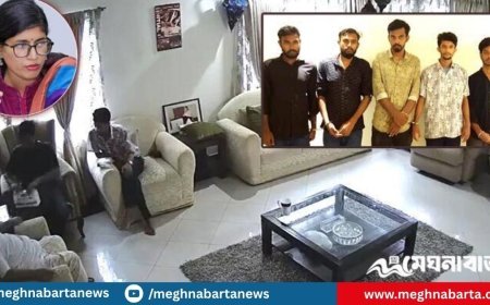 খোঁজ নিলে বুঝবেন, এদের শেকড় অনেক গভীরে: উমামা ফাতেমা