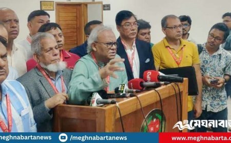 এক বছরের ব্যবধানে বিএনপির আয় বেড়েছে সাড়ে ১৪ কোটি টাকা