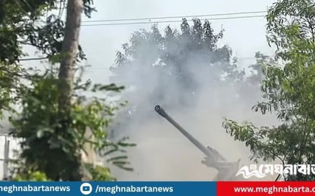 যুদ্ধবিরতির আলোচনায় ‘সম্মত’, তবু থাইল্যান্ড–কম্বোডিয়া সীমান্তে চলছে পাল্টাপাল্টি হামলা