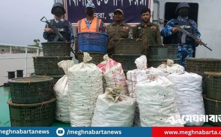 সুন্দরবনে ট্রলারসহ ৭০০ কেজি কাঁকড়া জব্দ