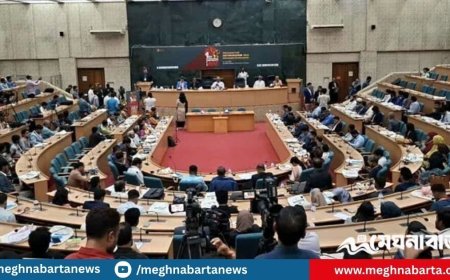 আওয়ামী শাসনব্যবস্থা রাষ্ট্রকে জনগণের বিরুদ্ধে অস্ত্র হিসাবে পরিণত করেছে : উপদেষ্টা আদিলুর