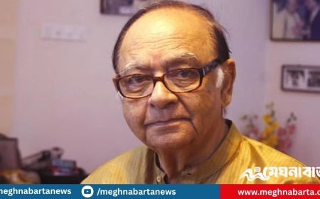 ‘নেতারা বললেন, তোকে অভিনয় করতে হবে’: সৈয়দ হাসান ইমাম