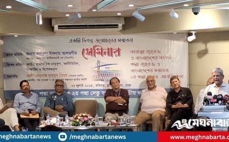 প্রয়োজন অনুসারে রাষ্ট্রকাঠামোর পরিবর্তনে সচেতনভাবে এগোচ্ছে বিএনপি: মির্জা ফখরুল