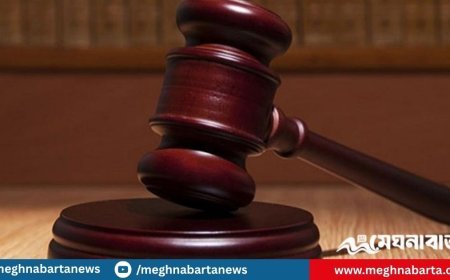 সাবেক ডিসি-এডিসি ও দুই এসিল্যান্ডের কারাদণ্ড