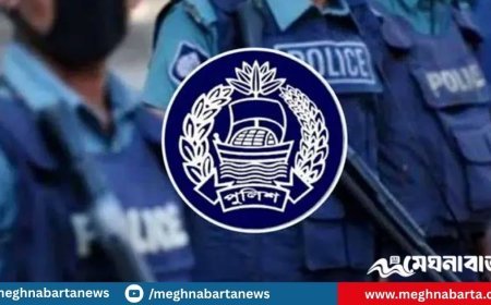 পুলিশের ঊর্ধ্বতন পর্যায়ে বদলি