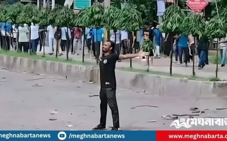 আবু সাঈদ হত্যা মামলা: ৩০ আসামির বিরুদ্ধে অভিযোগ গঠনের শুনানি আজ