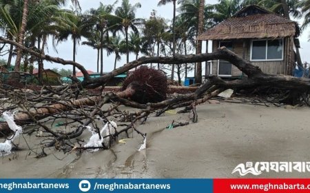 সাগরে ভাঙছে সেন্টমার্টিনের তীর, ডুবছে ঘরবাড়ি