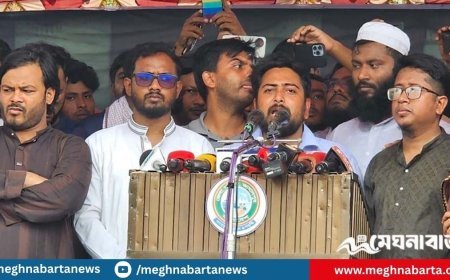 এমন ব্যবস্থা চাই, শুধু প্রধানমন্ত্রীর কথায় রাষ্ট্র চলবে না: নাহিদ