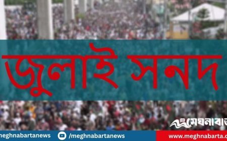 প্রকাশ করা হলো জুলাই জাতীয় সনদের খসড়া