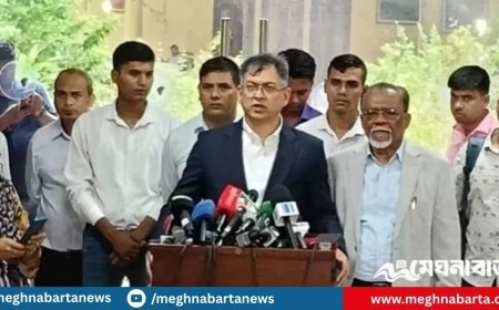 ‘নির্বাহী বিভাগের ক্ষমতা খর্ব করলে শাসন ব্যবস্থায় ভারসাম্য নষ্ট হবে’- সালাউদ্দিন