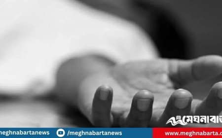 বাসা থেকে মা-মেয়ের মরদেহ উদ্ধার