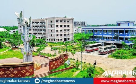 ছাত্রীকে যৌন হয়রানির অভিযোগে শিক্ষককে স্থায়ীভাবে বহিষ্কার