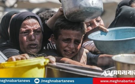 ইসরায়েলি বর্বরতায় গাজায় আরও ৮০ প্রাণহানি, অনাহারে ১৪