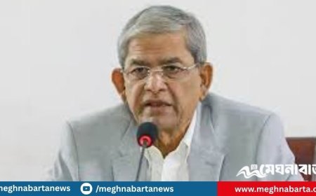 মানুষের নিরাপত্তা ছাড়া সংস্কার কোনো কাজে আসবে না : মির্জা ফখরুল