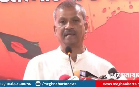 ১৯৭১ সালে পাকিস্তানি সেনাবাহিনীও মনে হয় এত জঘন্য অপরাধ করে নাই : আসিফ নজরুল