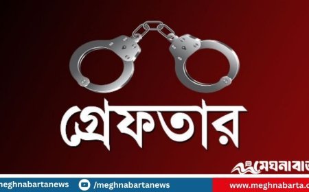 আ.লীগ-যুবলীগের ৩ নেতা গ্রেপ্তার