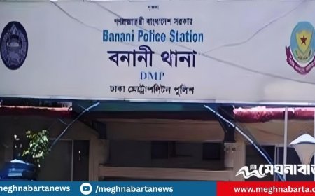 এয়ারপোর্ট থেকে বের হয়েই ছিনতাইয়ের কবলে লন্ডনপ্রবাসী