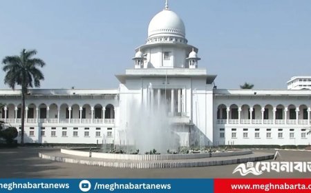 মানবতাবিরোধী অপরাধে মৃত্যুদণ্ডপ্রাপ্ত আ.লীগ নেতা মোবারককে খালাস