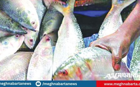 দুর্গাপূজায় ইলিশ চেয়ে বাংলাদেশকে পশ্চিমবঙ্গের ব্যবসায়ীদের চিঠি