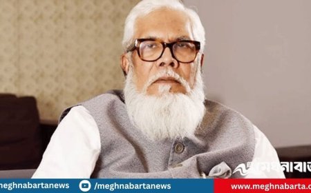 সালমান এফ রহমানকে ১০০ কোটি টাকা জরিমানা, পুঁজিবাজারে আজীবন নিষিদ্ধ