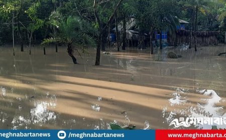 ভোলার ধনিয়া-শিবপুরের বাঁধের বাইরের ৭০০ পরিবার জোয়ারের পানিতে প্লাবিত