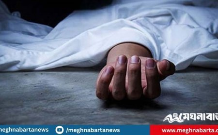 স্বামীর শিলপাটার আঘাতে স্ত্রীর মৃত্যু