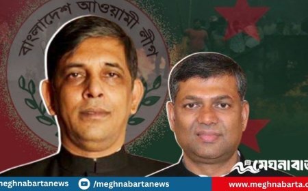 দেশকে অস্থিতিশীল করার চেষ্টা, নেপথ্যে নাসিম শেখর