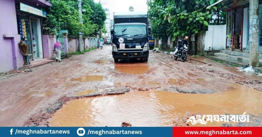 চাঁদপুর পৌরসভার আওতাধীন নিউ ট্রাক রোডের সংস্কার কাজ শুরু