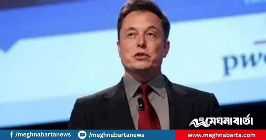 “আমেরিকা পার্টি”, ইলন মাস্কের নতুন রাজনৈতিক দল