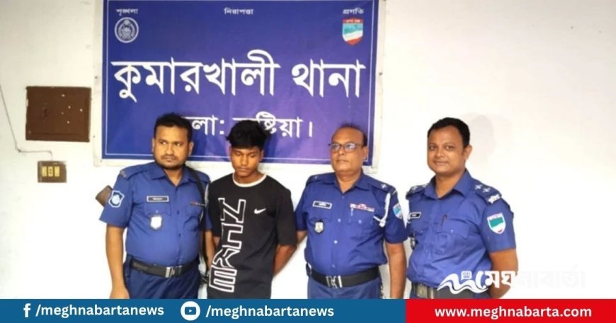 কুষ্টিয়ায় ভাবিকে জোরপূর্বক ‘ধর্ষণে’র অভিযোগে দেবর কারাগারে