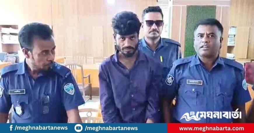 কুমিল্লার মুরাদনগরে পর্নোগ্রাফি মামলায় শাহ পরানের ৫ দিনের রিমান্ড মঞ্জুর