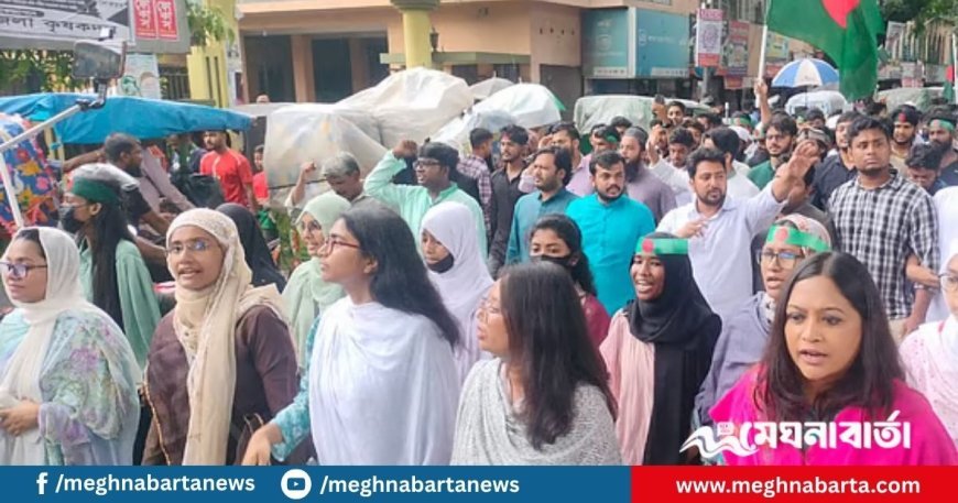 ৩ আগস্টের মধ্যে জুলাই সনদ না হলে আবার মাঠে নামার হুঁশিয়ারি নাহিদের