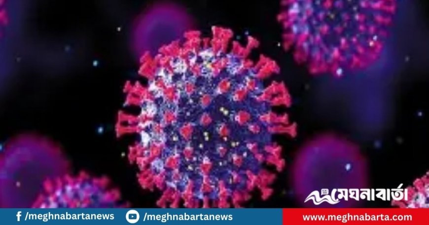সারাদেশে করোনায় একদিনে ১৯০ জনের নমুনা পরীক্ষায় ৩ জন পজেটিভ