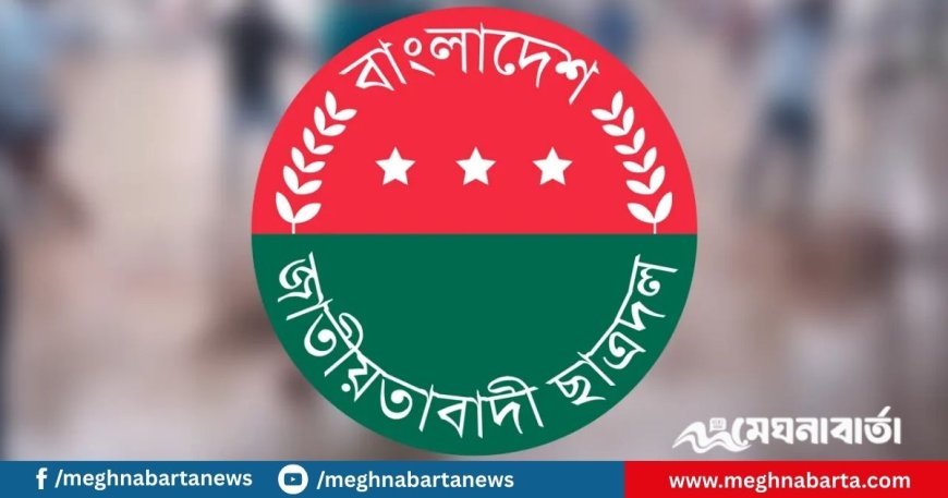 দলে দলে পদত্যাগ করছেন ছাত্রদল নেতারা