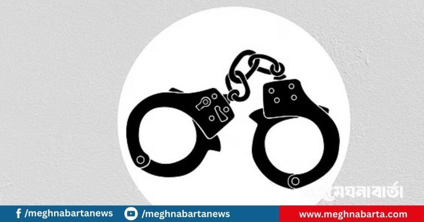 মোহাম্মদপুরে পানি রুবেল গ্যাংয়ের ছিনতাইকারী চক্রের ৫ সদস্য আটক : পুলিশ