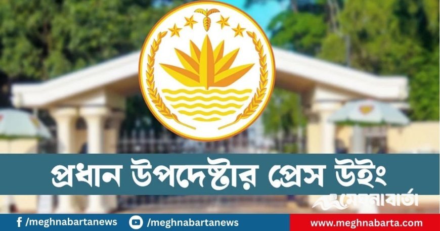 দেশে সহিংস অপরাধের সংখ্যা বাড়েনি : প্রেস উইং