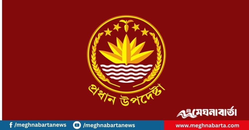 অন্তর্বর্তী সরকারের বিবৃতি, এই ঘৃণ্য কর্মকাণ্ডের অবশ্যই শাস্তি হবে