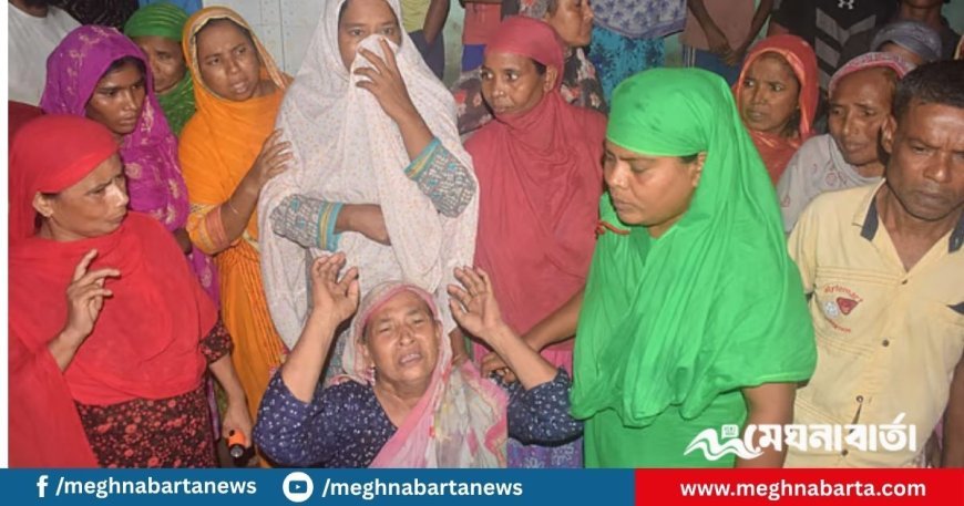 বখাটের ছুরিকাঘাতে কিশোরী গুরুতর আহত, বাঁচাতে গিয়ে দাদি-ভাবি নিহত