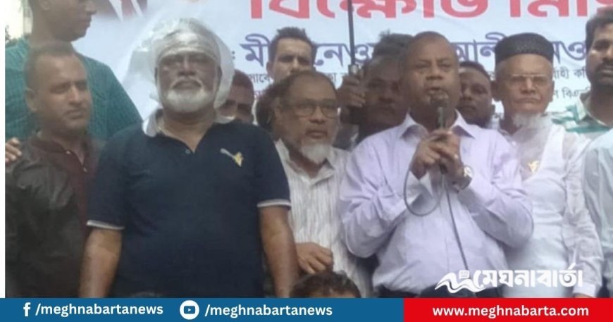 লীগের ১৭ বছরের চেয়ে এই ১০ মাসে বেশি ক্ষতি হয়েছে, দাবি বিএনপি নেতার