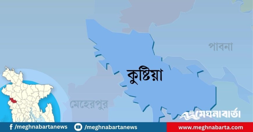চাঁদা তোলা নিয়ে কুষ্টিয়ায় বিএনপি-জামায়াত সংঘর্ষ, আহত ২