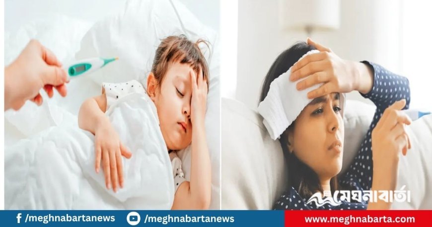 ভাইরাল জ্বর প্রতিরোধে করণীয়