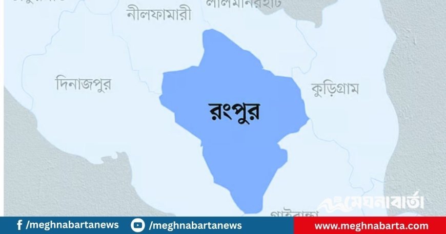 রংপুরে গণতান্ত্রিক ছাত্র সংসদের দুই কমিটি ঘোষণা, ৫ নেতার পদত্যাগ