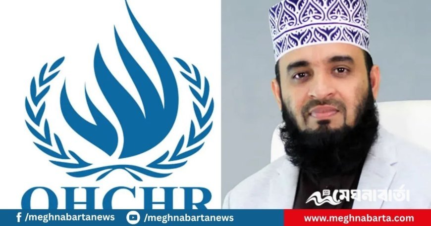 জাতিসংঘের কার্যালয় নিয়ে আজহারীর স্ট্যাটাস