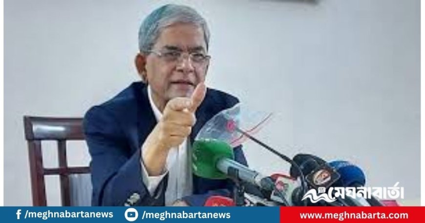 মির্জা ফখরুল বললেন, বিলম্ব না করে দ্রুত নির্বাচনের ব্যবস্থা করুন
