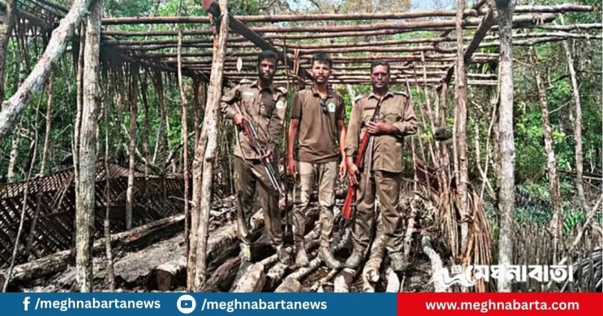 সুন্দরবনের গহিনে বিষে ধরা পড়ে চিংড়ি, আগুনে শুকিয়ে বানানো হয় শুঁটকি